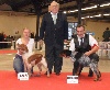  - Paris Dog Show 2014