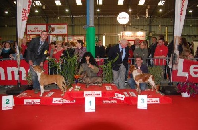 Du Pays Pourleth - le podium du meilleurs jeune Saint Brieuc 2013