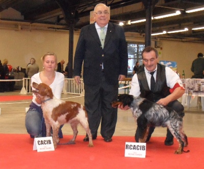 Du Pays Pourleth - Paris Dog Show 2014