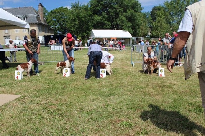 Du Pays Pourleth - Nationale d'élevage 2014 à Aurillac